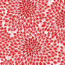 Red Rhapsody - White/Red Darling Dahlia