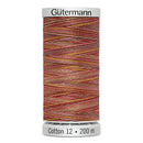 Gütermann Cotton Thread 12-9912 200 Meters Variegated