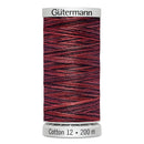 Gütermann Cotton Thread 12-9929 200 Meters Variegated