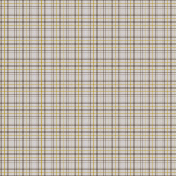 Winter Dreams - Taupe Gingham