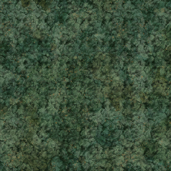 Lone Wolf - Dark Green Pine Texture
