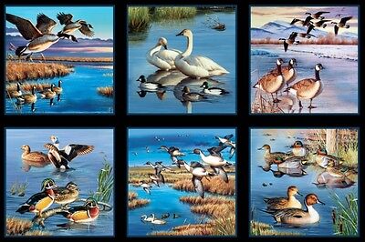 Waterfowl - Black Panel